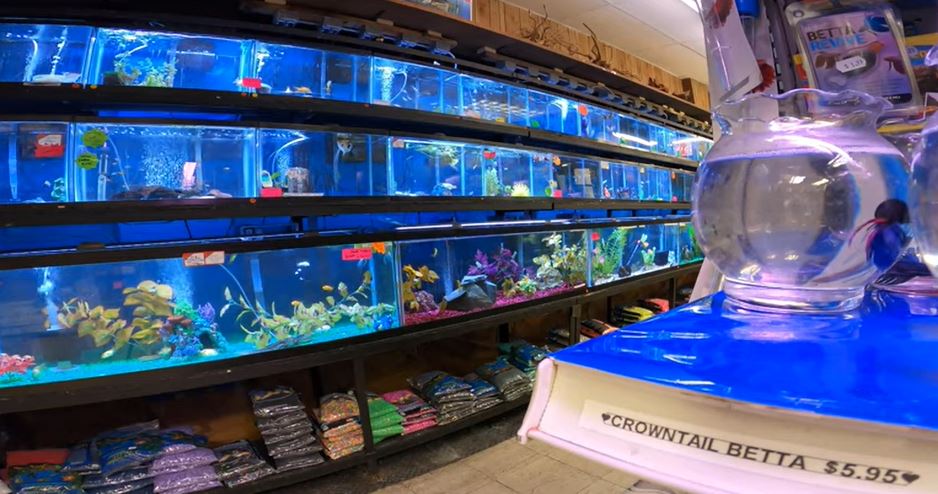 aquarium supplies brooklyn