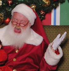 Fast Pass to the Staten Island Mall Santa - Best Dramatic Pictures for ...