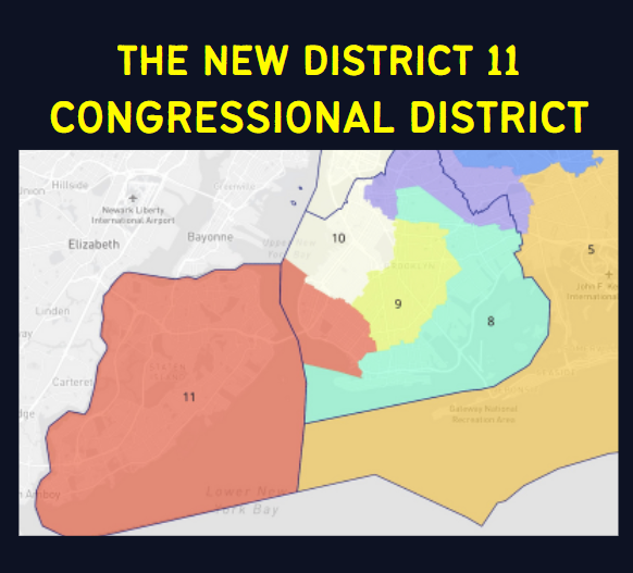 District 11's New Congressional District